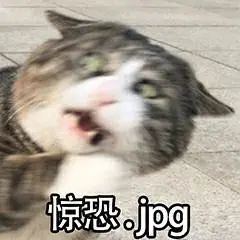 DƬ